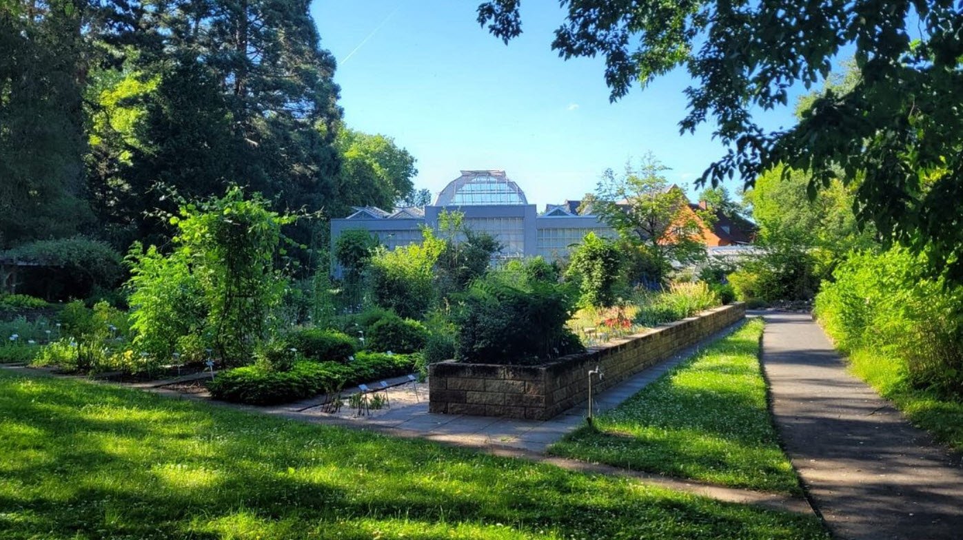 in Hamborn Botanical Garden, Duisburg, Germany, Germany